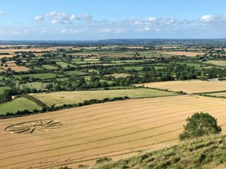ground of Westbury White Horse from ccc