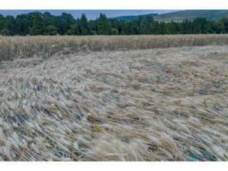 ground of Woolstone from ccc