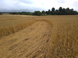 ground of Etchilhampton from ccc