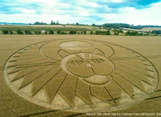 aerial of Figsbury Rings from ccc