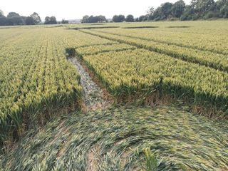 ground of Sutton Hall from ccc