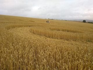 ground of Etchilhampton from ccc