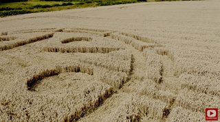 ground of Sandal Castle from ccc