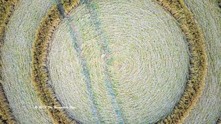 aerial of Longwood Warren