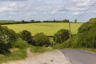 ground of Blandford Forum from ccc