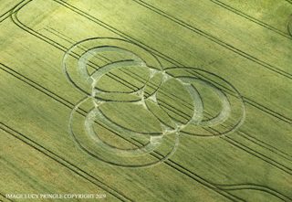 aerial of Long Wood