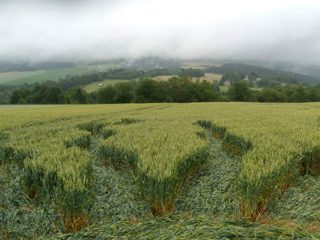 ground of Klicnov from ccc