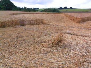 ground of East Kennett from ccc