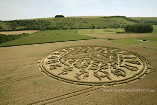 aerial of Ansty from ccc