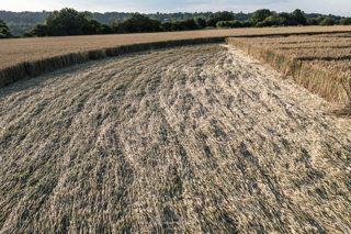 ground of Tufton from ccc