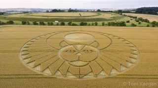 aerial of Figsbury Rings from ccc