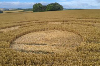 ground of Yarnbury Castle from ccc