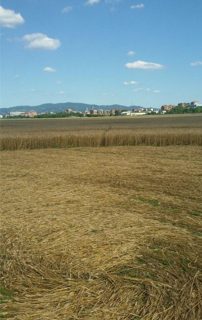 ground of Torino from ccc