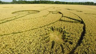 aerial of Burderop Down