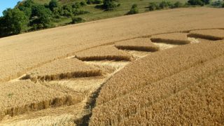 ground of Cley Hill from ccc