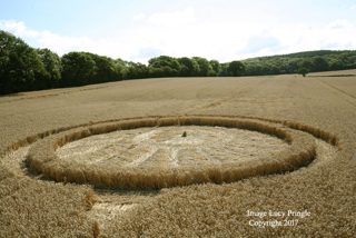 aerial of Wotton Wawen from ccc