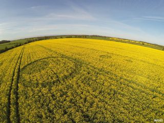 aerial of Tarlton Down