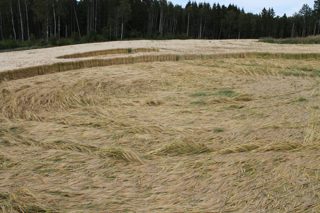 other of Vestby from ccc