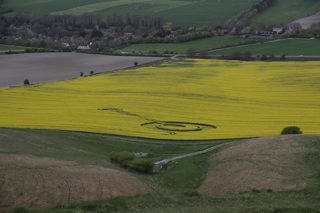 ground of Cherhill from ccc