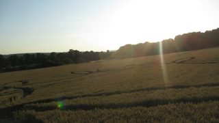 ground of Norton Bavant from ccc