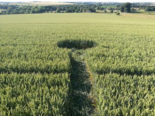 ground of Waden Hill from ccc