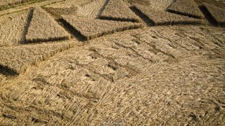 ground of Roundway Hill from ccc