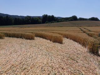 ground of Baggwilgraben from ccc