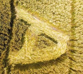aerial of Burderop Down
