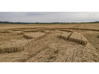 ground of Tufton from ccc