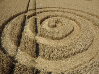 ground of Roundway Hill from ccc