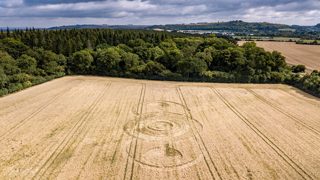 aerial of Norridge Wood