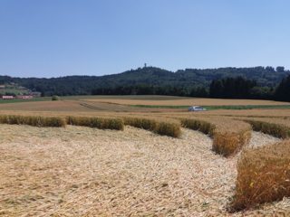 ground of Baggwilgraben from ccc