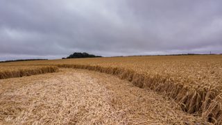 ground of Hackpen Hill from ccc