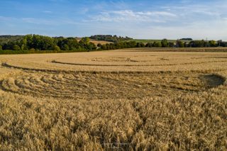 ground of Roundway Devizes from ccc