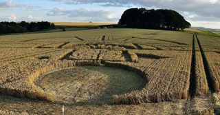 ground of Barbury Castle from ccc