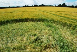 other of Devizes from ccc