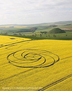 aerial of Waden Hill from ccc