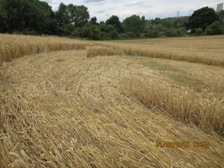 other of Roydon from ccc
