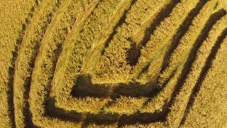 other of Badbury Rings from ccc