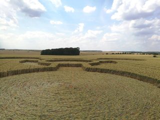 ground of Coneybury Hill from ccc