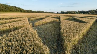 ground of Tichborne from ccc