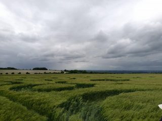 ground of Ashway from ccc