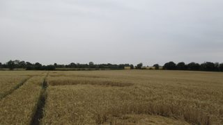 ground of Rushock from ccc