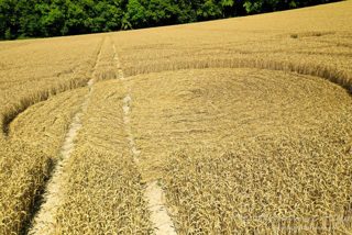 ground of Heytesbury from ccc