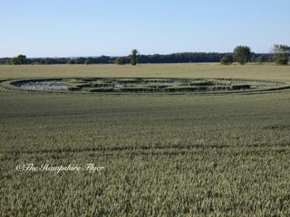 ground of Danebury Hill from ccc