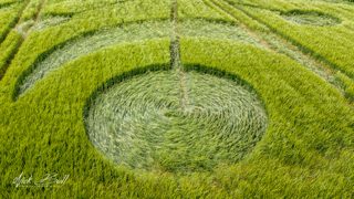 aerial of Buckland Down from ccc