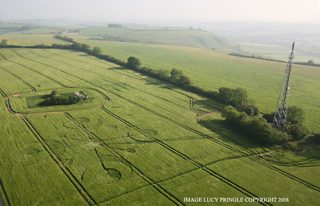 aerial of Buckland Down