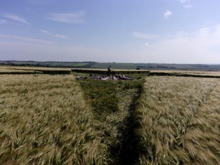 ground of Ackling Dyke from ccc
