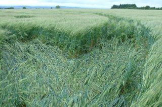 other of Ashway from ccc