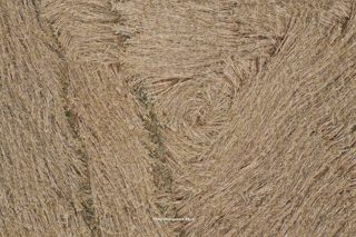 aerial of Barton Stacy from ccc